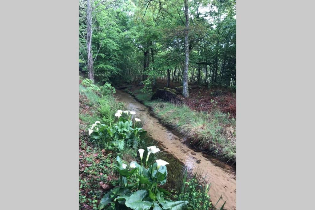 Spa Et Detente Au Coeur De La Foret Des Landes - 3 Etoiles Villa Luglon Luaran gambar